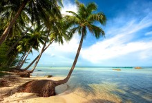 THE SOUTHERN RHYTHM & SUN-KISSED COASTLINE: AN 8-DAY IMMERSIVE EXPEDITION from only 485 USD/person only